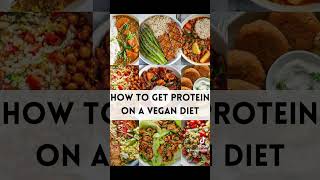 How to get protein on a vegan diet [upl. by Mauldon]