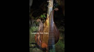 38” scale 5 string fretless bass played by Daniel Brunn bassguitar fretless bassist basssolo [upl. by Yboj521]