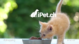 iPetch Shopping 1920 x 1080 [upl. by Milinda686]