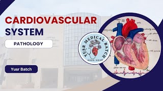 Pathology L6 C2 Ischemic heart diseases [upl. by Vorster]