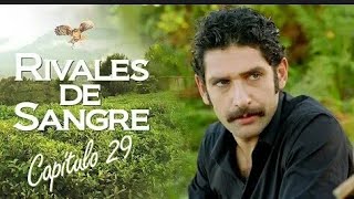 RIVALES DE SANGRE CAPITULO 29 COMPLETO [upl. by Esinev]