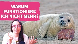 Warum quotfunktionierequot ich nicht mehr  LeuchtfeuerPodcast [upl. by Hershel]