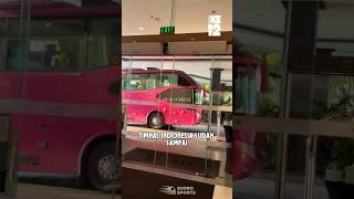 Timnas Sudah Sampai Myanmar Pakai Bus Warna Pink [upl. by Nareht853]