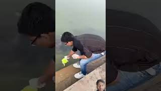 Fish Food Making viralvideo shorts fishing love [upl. by Vinia370]