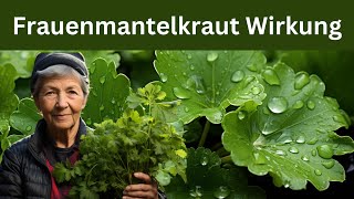 FRAUENMANTELKRAUT WIRKUNG  Alles über Frauenmantelkraut Wirkung Anwendung und Gesundheitstipps [upl. by Llednov906]