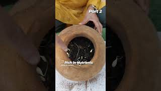 kitchen Compost update  very easy method [upl. by Broderick]