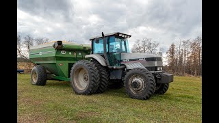 Agco White 6144 running a JampM 525 grain cart with a Gleaner S98 in Wisconsin [upl. by Mairb66]