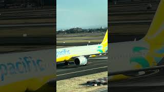 🇵🇭Cebu Pacific AIRBUS A321 RPC4126 5J5039 NGO MNL [upl. by Nieberg787]