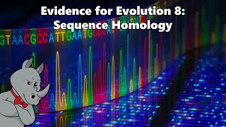 Evidence for Evolution  Sequence Homology [upl. by Hedi]