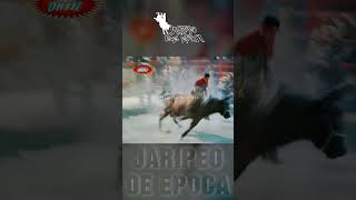 ESPUELITA DE TICUMAN VS CUPIDO jaripeodeepoca [upl. by Biddy]