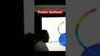 Process of Protein Synthesis for XXIXIINEETampCUET [upl. by Roswald945]