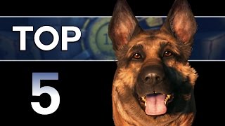 Fallout 4  Top 5 Dogmeat Facts Companion Lore [upl. by Ingles]