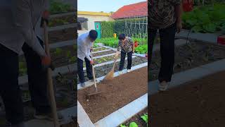 Taking care of the vegetable garden every day is busy and fulfilling mysmallvegetablegarden [upl. by Nino]