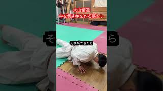 【空手】大山倍達の一撃必殺の拳を作る筋トレルーティーン！！ aikido ＃karate martial 武道 ＃空手＃筋トレselfdefense [upl. by Enecnarf867]