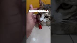 Not an average doctor  The Vet ❤️🫶🏻 veterinary vet medico trending viral neet vlog [upl. by Premer]