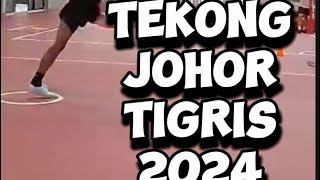 Tekong Johor Tigris 2024 [upl. by Naimaj350]