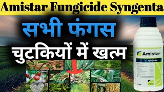 Amistar।। Amistar Fungicide।।Syngenta Amistat।। Syngenta Amistar Fungicide।। Amistar Technical Name। [upl. by Burnett]