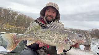 Fall Walleye Fishing The Mississippi River [upl. by Darees291]