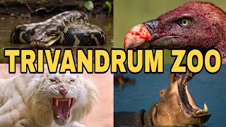 Trivandrum Zoo  2024  MUST WATCH  The Largest and Oldest Zoo In Kerala  Rennys Dream World [upl. by Wohlen]