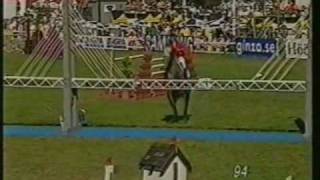 CLINTON I Holstein stallion at Falserbo Derby by wwwequineevolutioncom [upl. by Elletnahc]