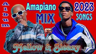 Mellow amp Sleazy 20232024 new songsalbum  Mellow amp Sleazy Amapiano Mix 20232024 [upl. by Sinnel]