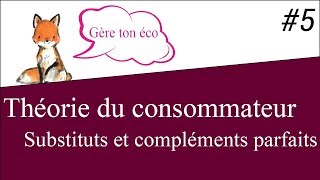 Microéconomie  Substituts et Compléments parfaits théorie du consommateur 5 [upl. by Marva]