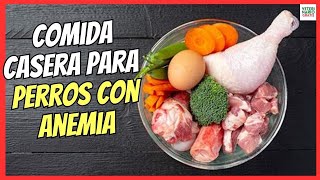 🐶 COMIDA CASERA PARA PERROS CON ANEMIA 🐶 ALIMENTOS CON MÁS HIERRO Y VITAMINA C [upl. by Acinad10]