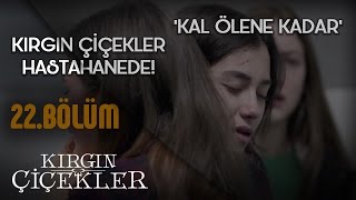 Kırgın Çiçekler 22Bölüm  Kal Ölene Kadar  Tuna Velibaşoğlu  Klip [upl. by Samoht]