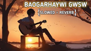 Baogarhagwi Gwsw  Slowed × Reverb New Bodo Music Video 2024 Biliphangbasumataryct2zg [upl. by Cowden]