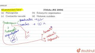 All protozoans have  11  PROSTISTA  BIOLOGY  ERRORLESS  Doubtnut [upl. by Punak]