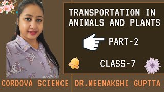 Transportation in Animals and Plants  Part2  Chapter11  Class7  Cordova  Science [upl. by Carrnan]