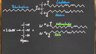 Q11 Die Verseifungsreaktion [upl. by Pettifer]