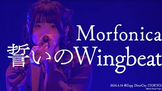 【公式ライブ映像】Morfonica「誓いのWingbeat」（Morfonica Concept LIVE「forte」より） [upl. by Ahsenom354]