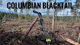 Late Season Columbian Blacktail Deer Archery Hunt 20232024  Hunting BC [upl. by Eneloc]