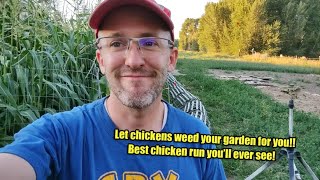 Best chicken tunnel Ive seen Let chickens weed your garden and keep them safe from predators [upl. by Braden]