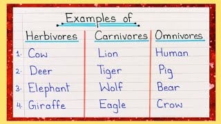 10 Examples of Herbivores Carnivores and Omnivores  Herbivores Carnivores and Omnivores Animal Name [upl. by Clarhe942]