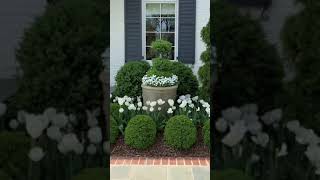 GARDENING ideas for HOME [upl. by Calli]