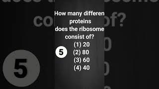 How many different proteins does the ribosome consist of 1 20 2 80 3 60 4 40 shorts [upl. by Anella]