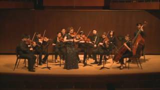 Stamitz Concerto for Viola and Orchestra in D major [upl. by Pattie923]