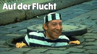 Dieter Hallervorden  Auf der Flucht [upl. by Plate]