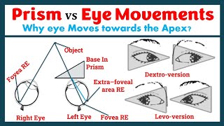 Effects of Prism in Eye Movements [upl. by Ezeerb]