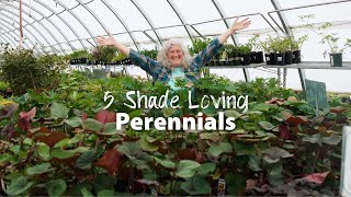 Five Shade Loving Perennials [upl. by Riek]