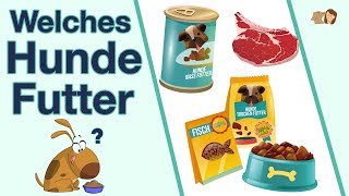 Welches Hundefutter ist das Beste  3 Futtersorten im Vergleich [upl. by Atterrol589]