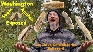 Washington Seam Agates Exposed  Cut amp Reveal  Cut Carve amp Polish  Episode 15 [upl. by Nosa95]