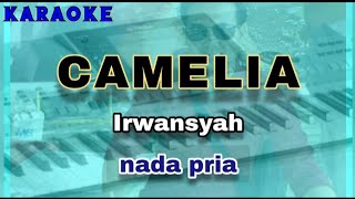 Karaoke CAMELIA nada pria  Irwansyah [upl. by Tyika]