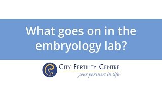 What goes on in the embryology lab in Melbourne [upl. by Hillhouse]