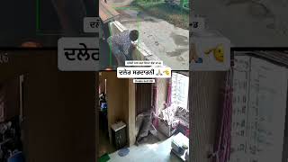 ਦਲੇਰ ਸਰਦਾਰਨੀ 🙏🏼🫡 tranding punjabi punjab shortvideos shorts doababelt08 [upl. by Ginni155]