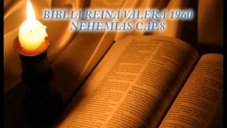 Biblia HabladaBIBLIA REINA VALERA 1960 NEHEMIAS CAP 8 [upl. by Eelirem]