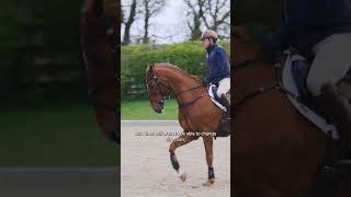 4 poles makes Andrew Hoys favourite exercise 💪 [upl. by Richlad939]