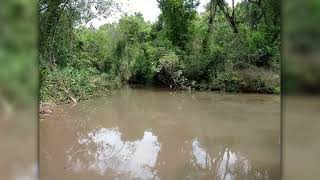 Fazenda a venda em Vargem Bonita–MG  1000 ha [upl. by Terrijo]